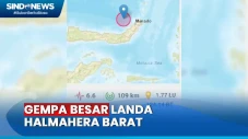 Breaking News, Halmahera...