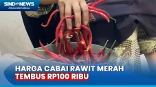 Harga Cabai Rawit Merah...