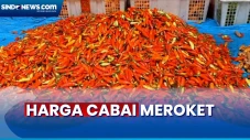 Harga Cabai di Pasar...