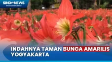Menikmati Indahnya Taman...
