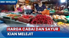 Cabai Sentuh Rp120 Ribu...