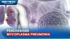 Kasus Mycoplasma Pneumonia...