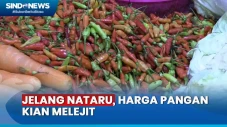 Harga Bahan Pangan Kian...