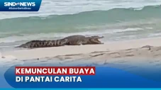 Warga Resah Kemunculan...