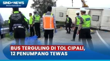 12 Penumpang Tewas Usai...