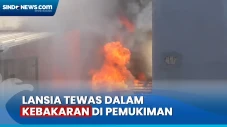 Seorang Lansia Tewas...