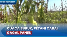 Cuaca Buruk, Petani...