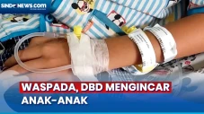 Waspadai Gejala Demam...