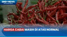 Laporan Harga Cabai...