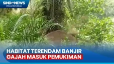 Habitatnya Terendam...