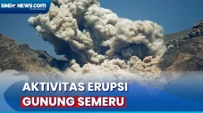 Aktivitas Gunung Semeru...