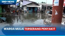 Terdampak Banjir Rob...