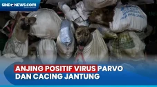 Polisi Akan Kembalikan...
