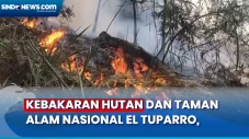 4,5 Hektar Hutan Lindung...