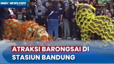 Hari Raya Imlek, Barongsai...
