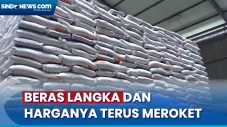 Beras Langka dan Harganya...