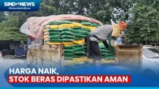 Meski Alami Kenaikan...