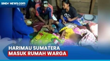 Bocah 2 Tahun Diserang...