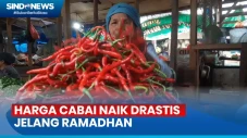 Naik Drastis! Harga...