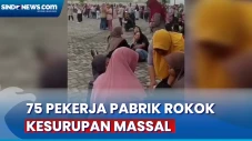 75 Pekerja Pabrik Rokok...