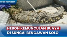Sungai Bengawan Solo...