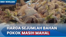 Harga Kebutuhan Pokok...