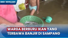 Warga Berburu Ikan yang...
