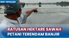 Petani Terancam Gagal...