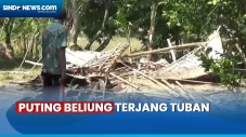 Diterjang Puting Beliung,...