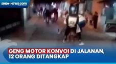 Polisi Tangkap 12 Anggota...