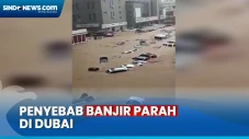 Ternyata Ini Penyebab...