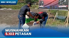 Hasil Razia, Tim Gegana...