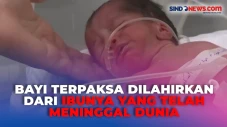 Bayi Lahir Beberapa...