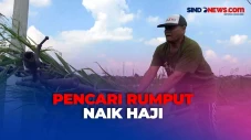 Menunggu 13 Tahun, Kisah...