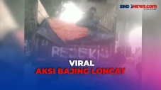Meresahkan, Aksi Bajing...