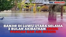 Ribuan Jiwa Krisis Pangan...