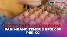 Harga Telur Ayam di...