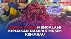 Harga Cabai di Pasar...