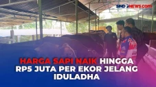 Jelang Hari Raya Kurban,...