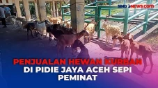 Jelang Iduladha, Penjualan...