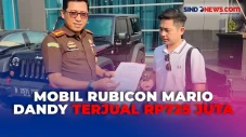 Mobil Rubicon Mario...