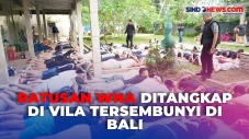 Imigrasi Tangkap Ratusan...