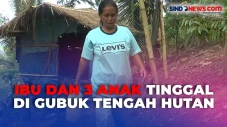 Kisah Pilu Ibu dan Tiga...