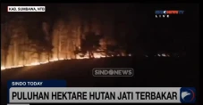 Kebakaran Hanguskan...