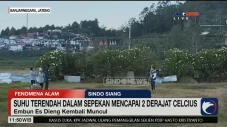 Rasakan Sensasi Dinginnya...