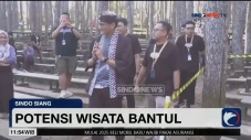 Keindahan Hutan Pinus...