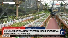 Pameran Flora dan Fauna...