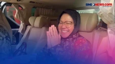 Usai Maju di Pilkada...