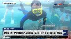 Mengintip Keindahan...