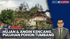 Puluhan Pohon di Sleman...